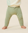 Ribbed Leggings - Ribbed Sage